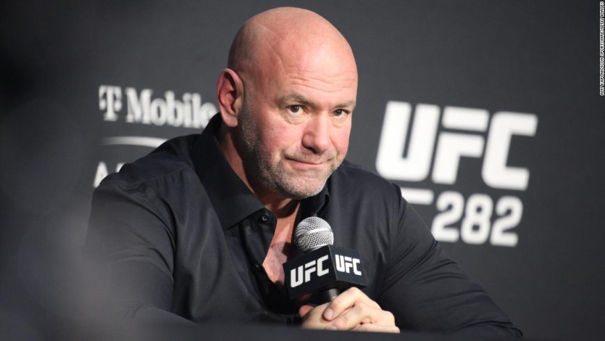 UFC president Dana White does not expect punishment for domestic violence incident